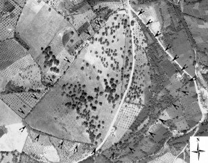 Indication of the probable town wall delimitation on historical aerial photograph (Corsi - Vermeulen 2007)
