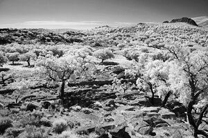 Pure NIR photography of the Roman quarry site of Pitaranha (photograph by G. Verhoeven)