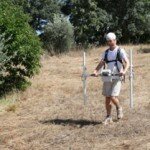 Geophysical survey with magnetometre